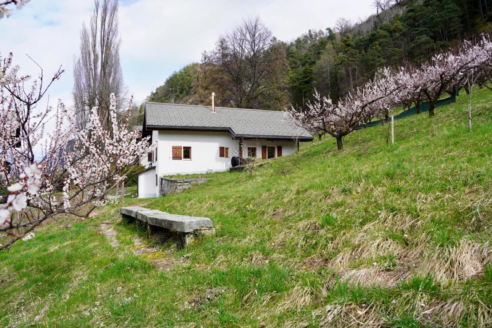 Maisonnette De Campagne 시옹 외부 사진